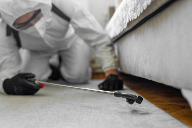 Professional Pest Control technician working in Upland, CA