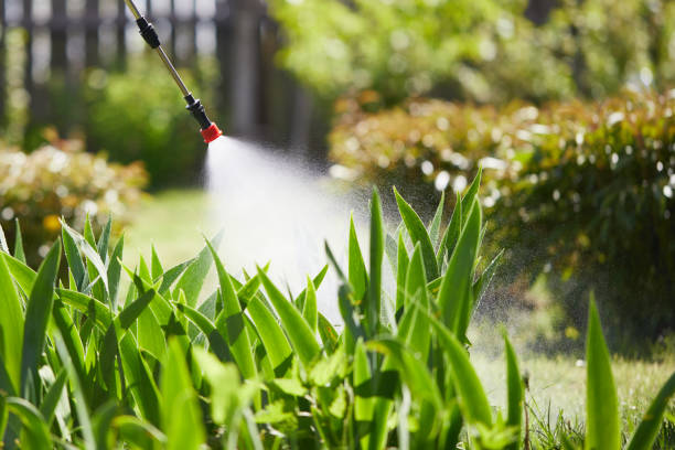 24/7 Emergency Termite Control experts in Upland, CA