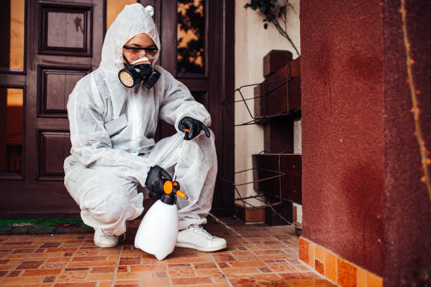 Reliable Termite Control contractor in Upland, CA by Nex Pest Control