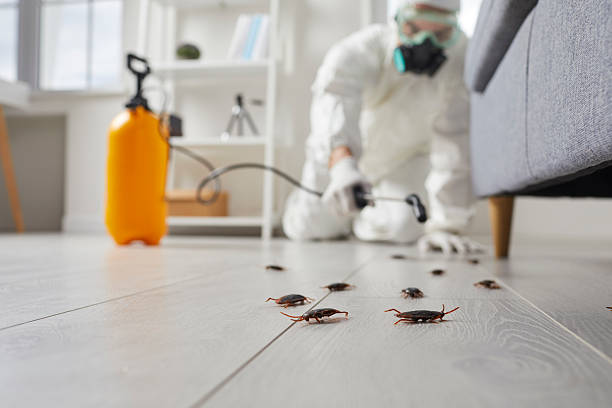 Trusted Fumigation Services service in Upland, CA - Nex Pest Control