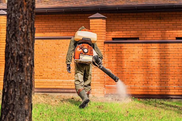 Trusted Cockroach Control service in Upland, CA - Nex Pest Control